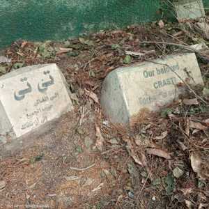 مقبرة الكلاب الموجودة داخل جدران نادي الجزيرة