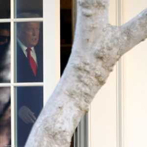 ترامب وميلانيا يشاهدان في البيت الأبيض