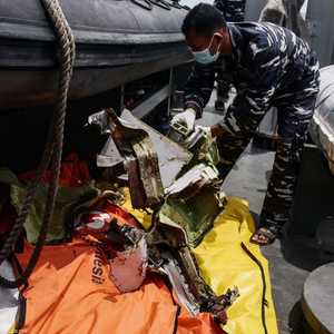 عدد كبير من الغواصين