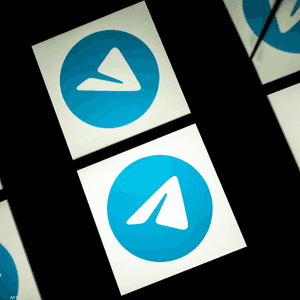 شعار تطبيق تلغرام