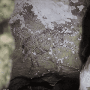 أقدم رسمة كهف في العالم عثر عليها في إحدى جزر إندونيسيا