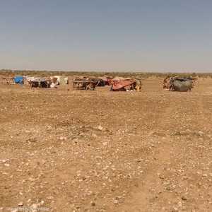 داعش يهجر آلاف اللاجئين الطوارق