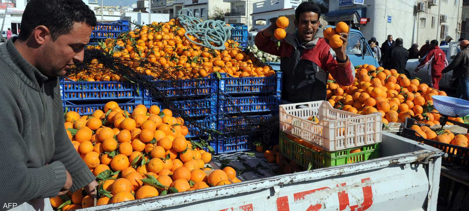 تونسيون يبيعون ثمار البرتقال