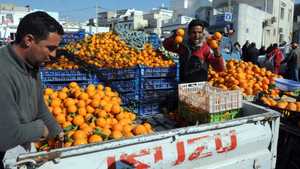 تونسيون يبيعون ثمار البرتقال