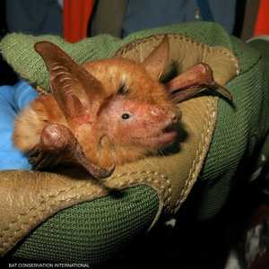 الفريق العلمي سعيدٌ بالاكتشاف