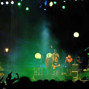 عرفت هذه الأصوات كيف تحجز لها مكانة في الساحة الغنائية