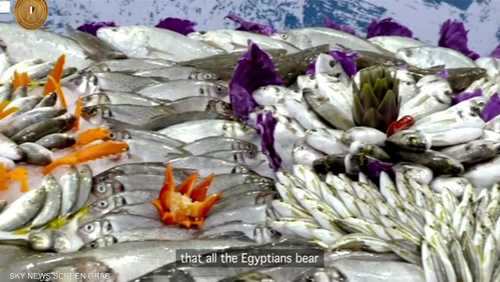 مصر تدشن أكبر مشروع للاستزراع السمكي بالشرق الأوسط