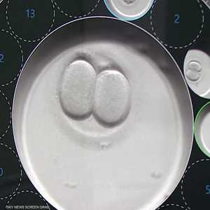 ما احتمالات نجاح أسلوب تجميد البويضات واستخدامها لاحقا؟