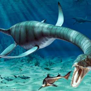 "بليسيوزورس" العملاق عُثر عليه في منطقة غرب الموهوب