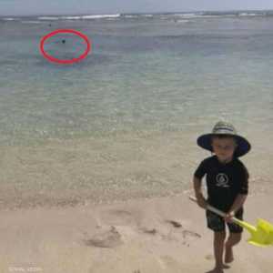 دونكان في الماء.. وابنه على الشاطئ