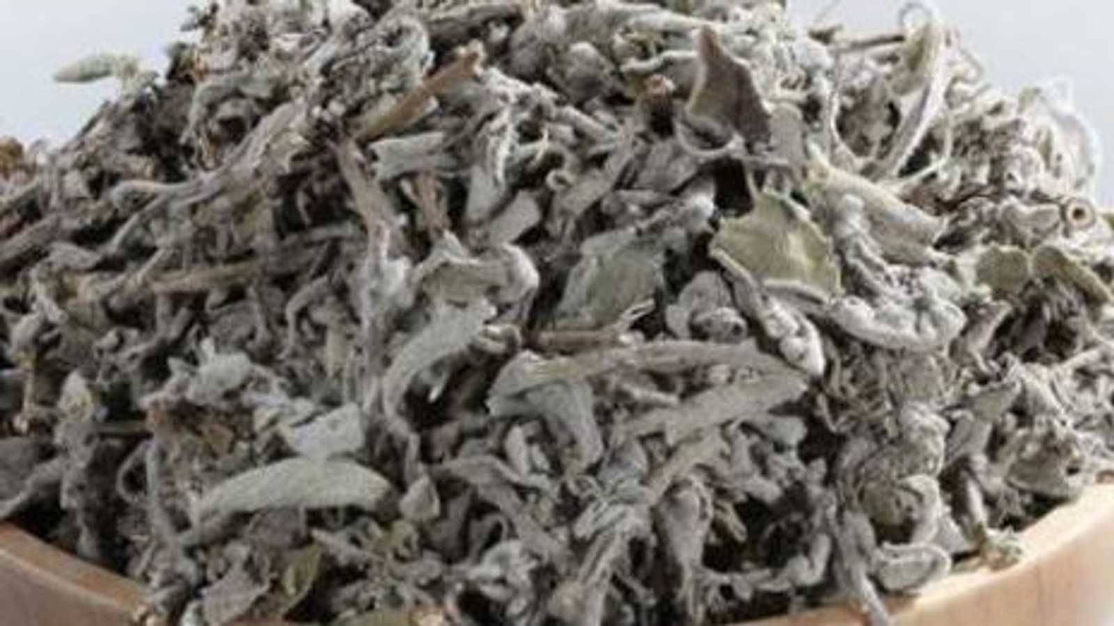 عشبة الميرمية تعود تسميتها إلى السيدة العذراء