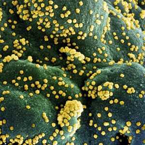 منشأ كورونا.. محور خلاف جديد بين واشنطن وبكين