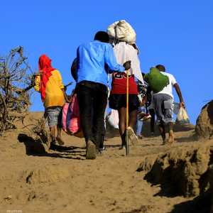 شردت الحرب المئات من سكان إقليم تيغراي