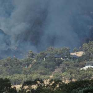 الحرائق استمرت أسبوعا كاملا