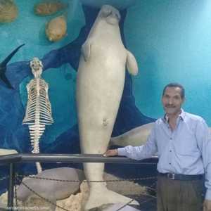 المحنط علام إسماعيل علام