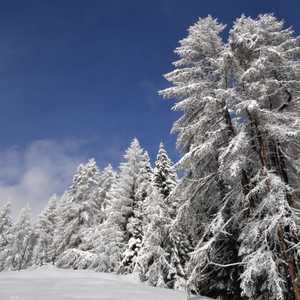 مقتل متسلق جبال إيطالي شهير جراء انهيار ثلجي