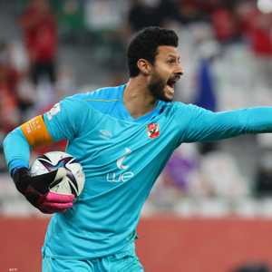 محمد الشناوي