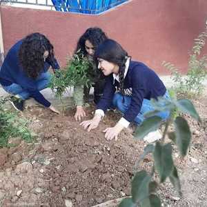 غرس الشتلات ضمن مشروع الجدائل الخضراء شمال سوريا