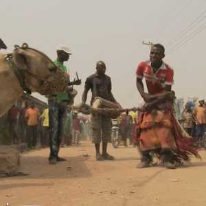 تعتمد الضباع على هؤلاء الرجال في غذائها بشكل كامل