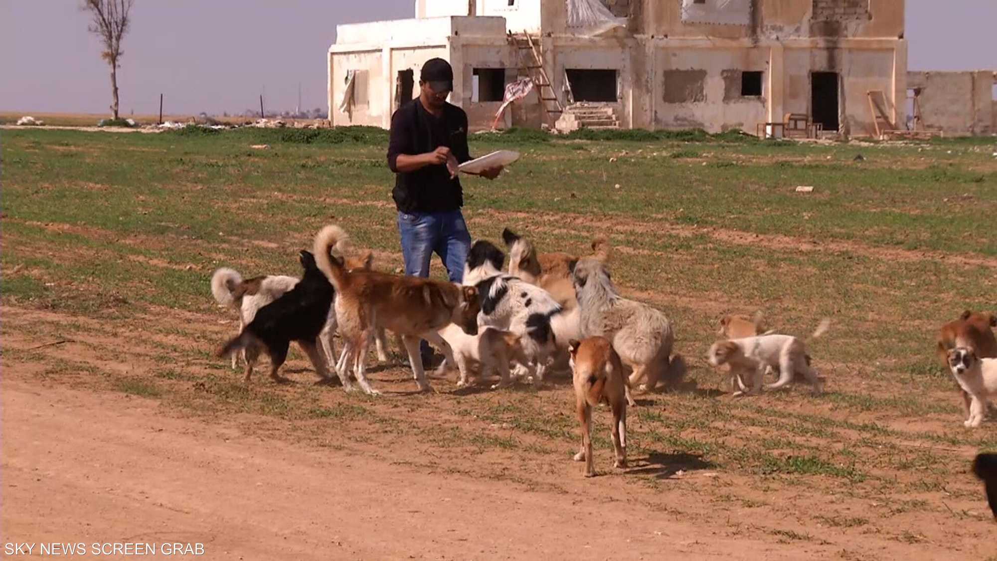 ملجأ في الأردن لإنقاد الكلاب الضالّة ورعايتها