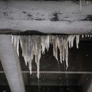 لم تشهد تكساس عاصفة ثلجية في مثل هذا السوء