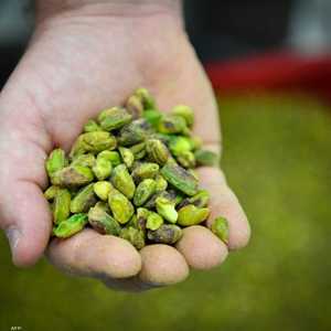 للمبالغة في أكل الفستق أضرار على الصحة.. أرشيفية