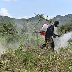 دراسة تكشف علاقة بين المبيدات الحشرية ونوع خطير من السرطان