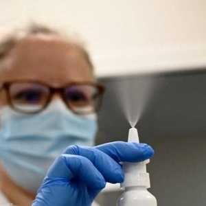 المشروع ما يزال في مراحله الأولى