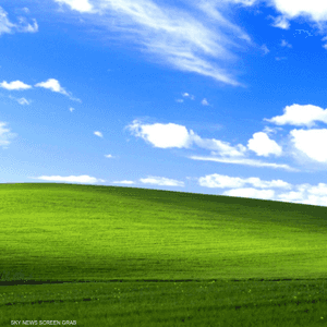 الصورة التقطت في ولاية كاليفورنيا