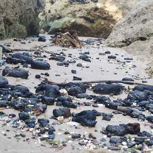 احتواء التسرب قد يستغرق أعواما