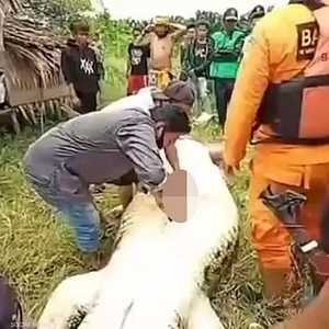 التمساح ابتلع الطفل بالكامل!