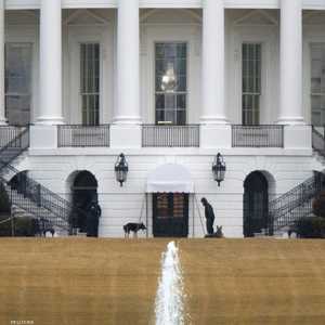 الكلبان في البيت الأبيض