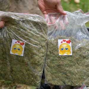 أرشيفية لضبط مواد مخدرة