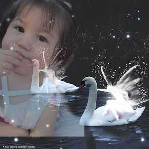 الجريمة أثارت استنكارا واسعا