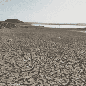 جفاف الفرات يهدد بكارثة إنسانية في قرى ومدن سورية