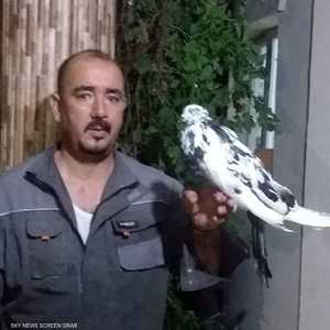 إدير مقور حول منزله إلى محمية للطيور