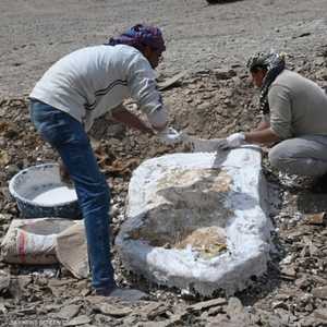 الباحثون بذلوا جهدا كبيرا لدراسة ما أخرجوه من الأرض