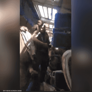 هكذا كان المشهد داخل قطار سوهاج