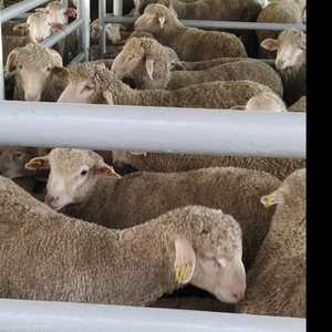 متابعة حثيثة لكافة التفاصيل