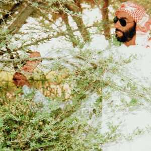 المغفور له الشيخ زايد أولى اهتماما كبيرا بالتشجير والبيئة