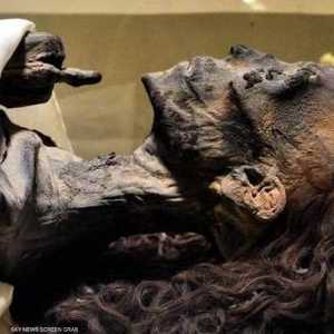 تعرض شعر الملكة لعملية تحنيط عالية الجودة