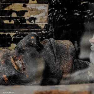 الصورة المتداولة للوزير يويا من تصوير أحمد العطار