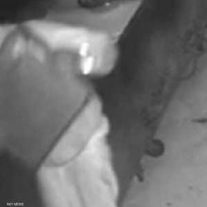 اللص أثناء محاولة سرقة المطعم في ولاية جورجيا