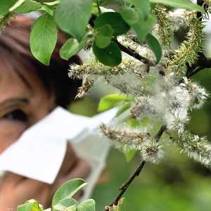 بطريقة بسيطة نميز بين حساسية الربيع وأعراض كورونا