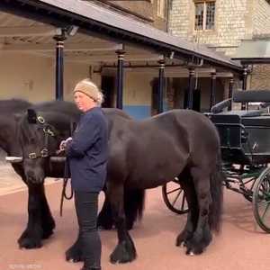 العربة التي سترافق الأمير فيليب لمثواه الأخير