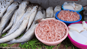 مغاربة يحتجون على أسعار السمك الملتهبة بحملة "خليه يخناز"