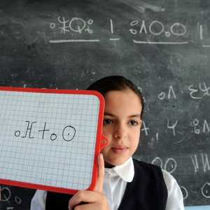 تم إدخال الأمازيغية لأول مرة في الصفوف الابتدائية عام 2003