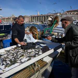 صيادون يبيعون السمك في مرسيليا