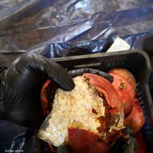 مخدرات داخل الفواكه اللبنانية