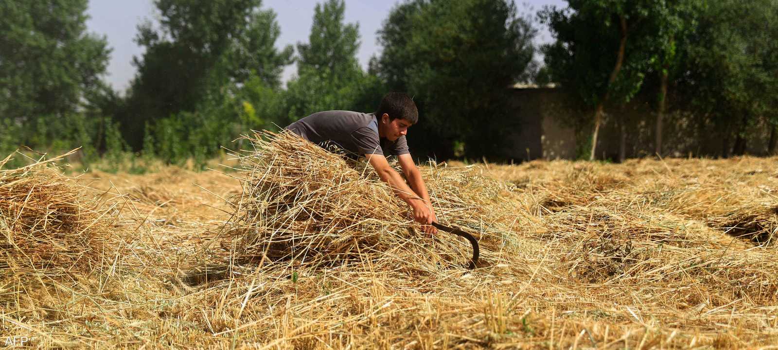 صورة أرشيفية لمزارع سوري